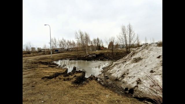 Снесли бани, строят бассейн. Пал травы(апрель, 2023 г) - ч 49