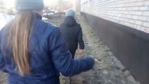 умер голубь