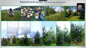 "Родовые Поместья - основа Новой Цивилизации". Ю.И. Горохов, биосферный архитектор