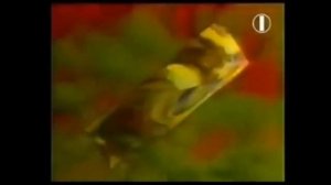 Заставка ОРТ в 1995 году (Натюрморт) Ты помнишь? Это первый.