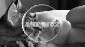 Love Me Hate Me - Kisabu