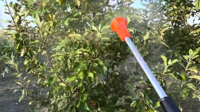 Опрыскиватель на мотопомпе для малых хозяйств