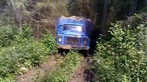 газ 53 герман в лесу