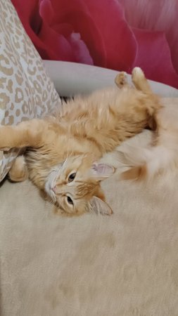 #Sonya 😻
