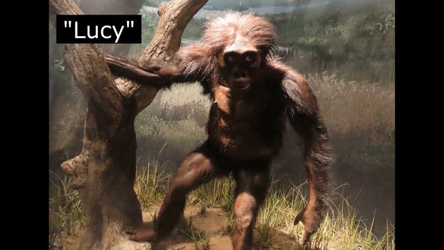Australopithecus смотреть онлайн