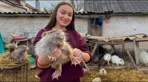 Необычное Сельское Мясное Блюдо, Запеченное в Печи до золотистой корочки!