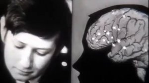 Труд и отдых  Леннаучфильм