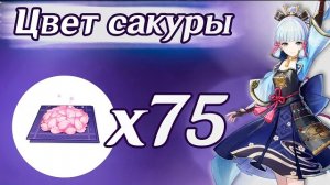 Где найти Цвет Сакуры для Аято и Аяки?  Маршрут фарма Цвета Сакуры в Инадзуме | Genshin Impact
