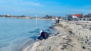 31.01.25 Часть 2 Черноморское, как есть. Пляж, море, Бухта Счастливая