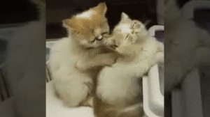 Coolio - Gangsta's Paradise