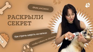 Стрижем шерсть на лапках у собаки