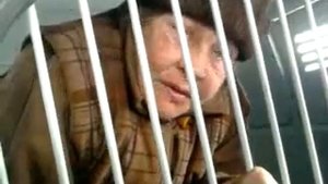 бабулька жет)