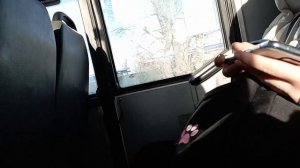 ГАЗ - А64R45 Next | № АН 890 72 | 41 маршрут