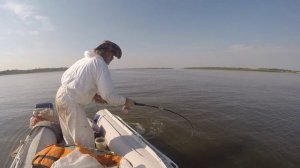 Очередной сом. Волга . С квоком и мудростью. От Юрия Философа