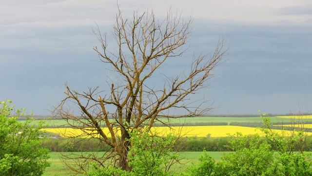 Фотопейзажи Кавказа(часть вторая)