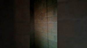 Электромонтажные работы Анапа