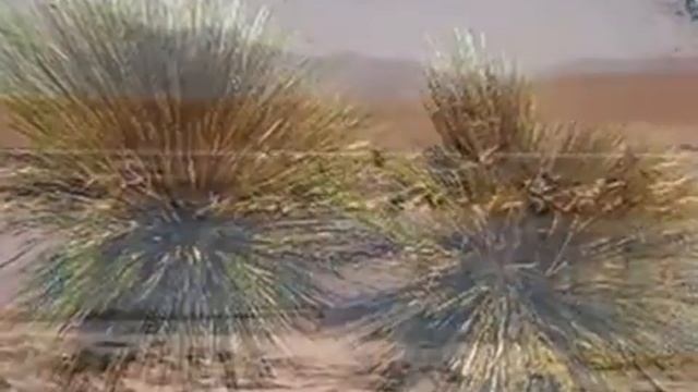 Боливия.музыка смотреть онлайн