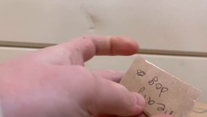 БУМАЖНАЯ СОБАЧКА//РАСПАКОВКА ПОСЫЛЛОК ДОЯ БУМАЖНЫХ СОБАК.//