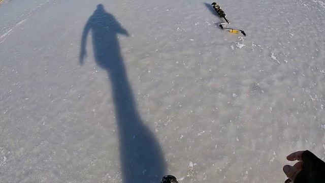 Расставил БАКЛАШКИ и ПОНЕСЛОСЬ!!! ПЕРВЫЙ ЛЁД 2023-24 раздает ТРОФЕИ! Баклашки летают по льду... смотреть онлайн