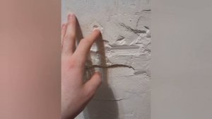 Моя борьба с плесенью.