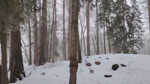 Как работа подменяет нам жизнь.