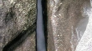 Сплав по средней Катуни