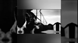 Нейрозвуки Они видели ад