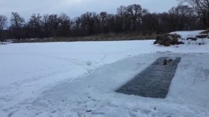 🐶❄️❄️❄️Закаливание 🐶🧊🧊🧊 🦭Моржевание 🐶❄️❄️❄️