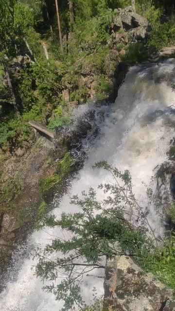 💦 Камышлинский водопад — волшебство природы на Алтае 🌿