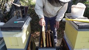 запас беды не чинит