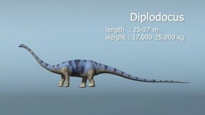 Sauropod profiles
