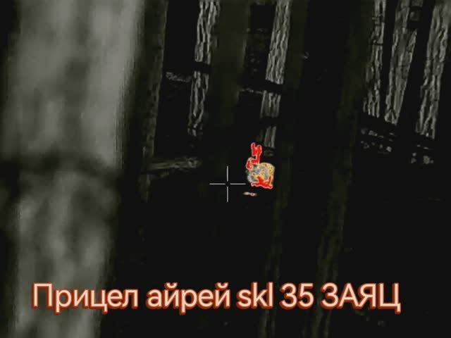 ОХОТА С ТЕПЛОВИЗОРОМ АЙРЕЙ skl 35 смотреть онлайн