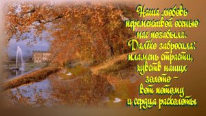 Листья жёлтые медленно падают. Зимой погребаются снегопадами, А любовь уже под листьями, склизкими