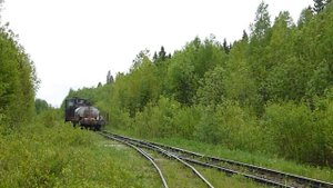 Кобринская УЖД / Тепловозы ТУ4 и ТУ3Д