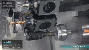 TS-2000YS Cutting Demo