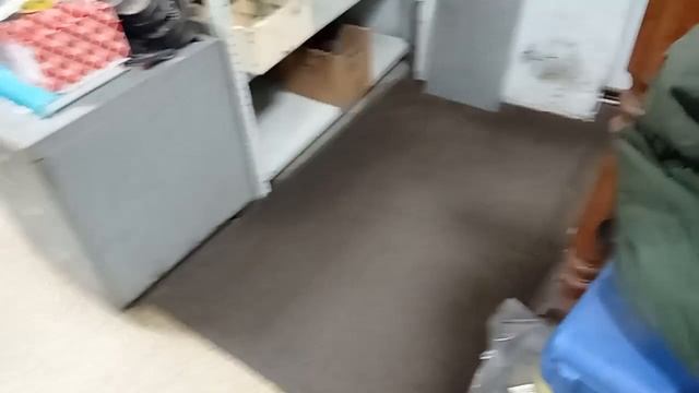 Мой бесценный сотрудник Фенечка. Утро 17.11.2022 смотреть онлайн