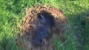 Шаровая молния в с. Косиха