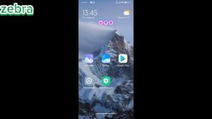 Zebra - как включить простостой режим  на Андроид