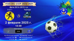 ФК "Барс 1" - ФК "Торнадо"/VIKING CUP, Игра №5, 02-01-2025 12:30