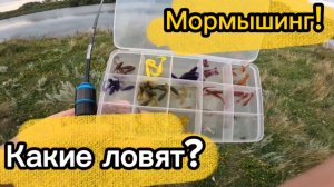 Тестируем приманки для мормышинга на малом пруду! Какой цвет самый уловистый для джига (мормо-джига)