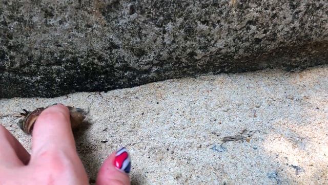 Таиланд 10-11 день | Большой Будда | Пхукет | Ката Ной | Карон | Sis Kata | The Big Buddha | Еда смотреть онлайн