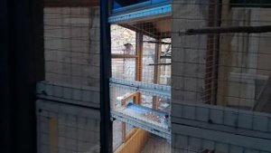 Вольер для попугаев