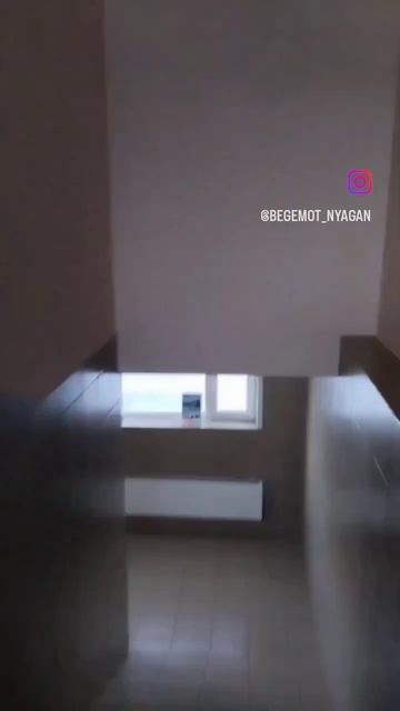 Компания Бегемот Нягань. Чернышова 3б/2 . 83467299936 смотреть онлайн