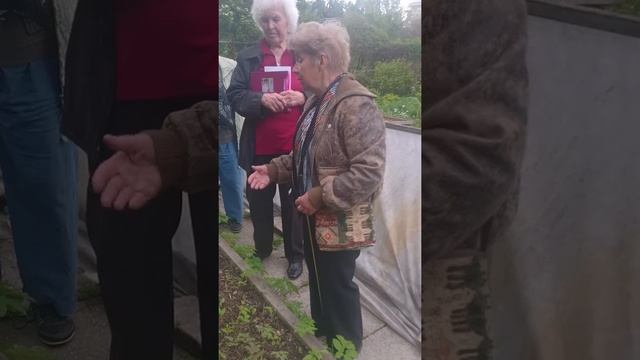 Марианна Успенская о сеянцах пионов смотреть онлайн