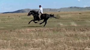 Скачки Верх Аскиз 1.06.2024