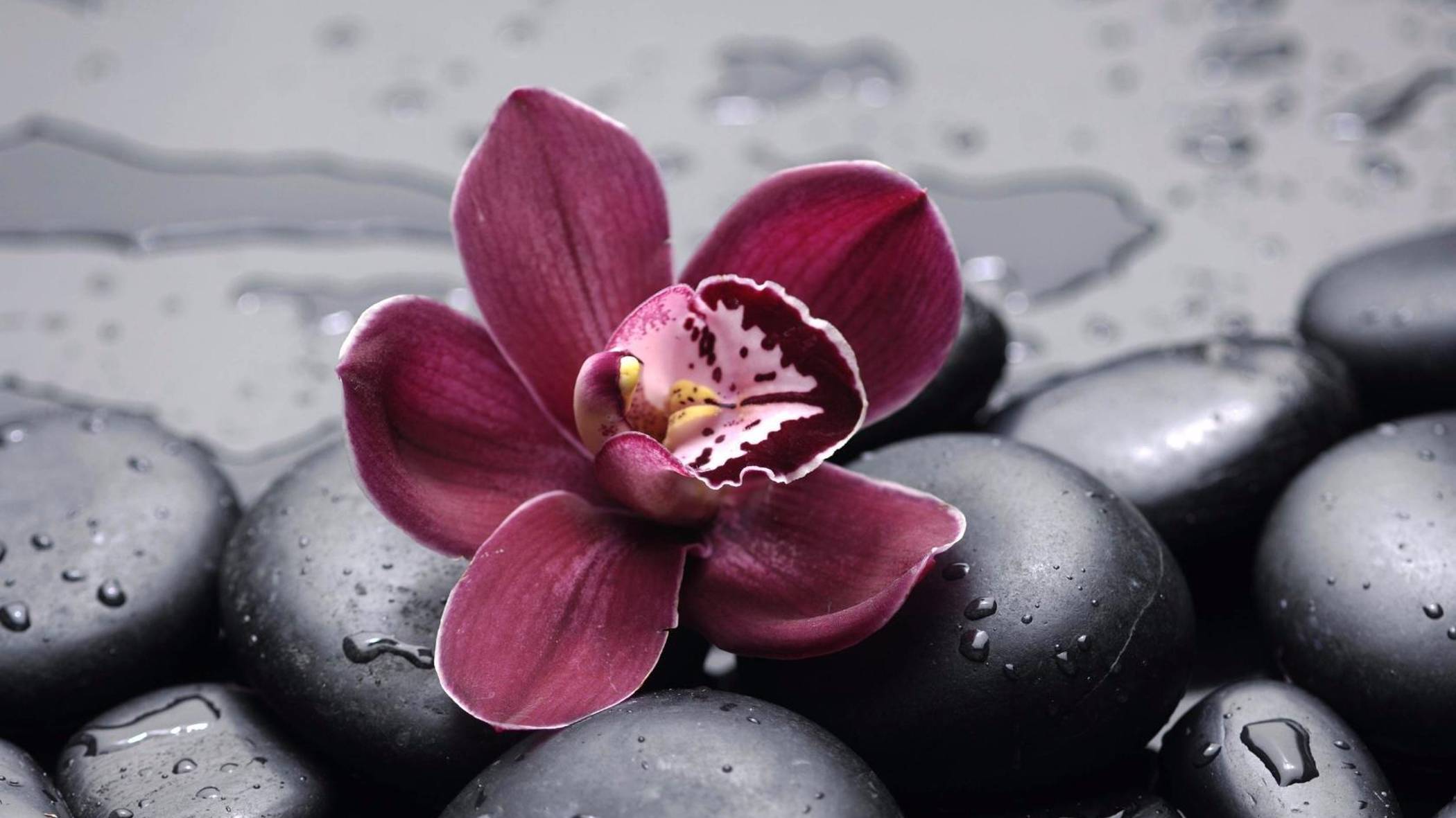 ORCHID VALLEY TAROT 👻👻👻 ТАРО ДОЛИНЫ ОРХИДЕЙ.  🌺🌺🌺 Обзор колоды. 💎🍀🌺