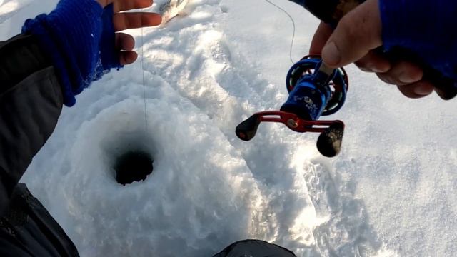 МЕГА ХАПОК СУДАКА!!! СУДАКИ БЬЮТ В РУКУ С УДАРОМ! Ловля судака на раттлины. ПОПАЛИ на ЖОР СУДАКА!!! смотреть онлайн