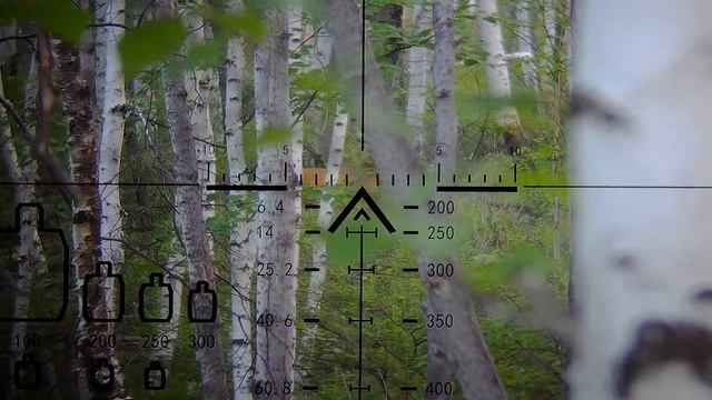 ГОЛОС САМКИ ПРЕДУПРЕЖДЕНИЕ ОБ ОАСНОСТИ СМОТРИТЕ С КОМПЬЮТЕРА