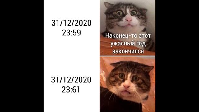 Новогодние Мемчики Для праздничного настроя