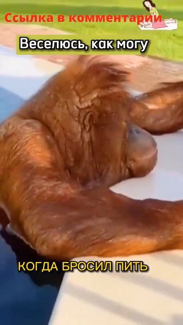 #броситьпить как бросить пить в домашних условиях смотреть онлайн